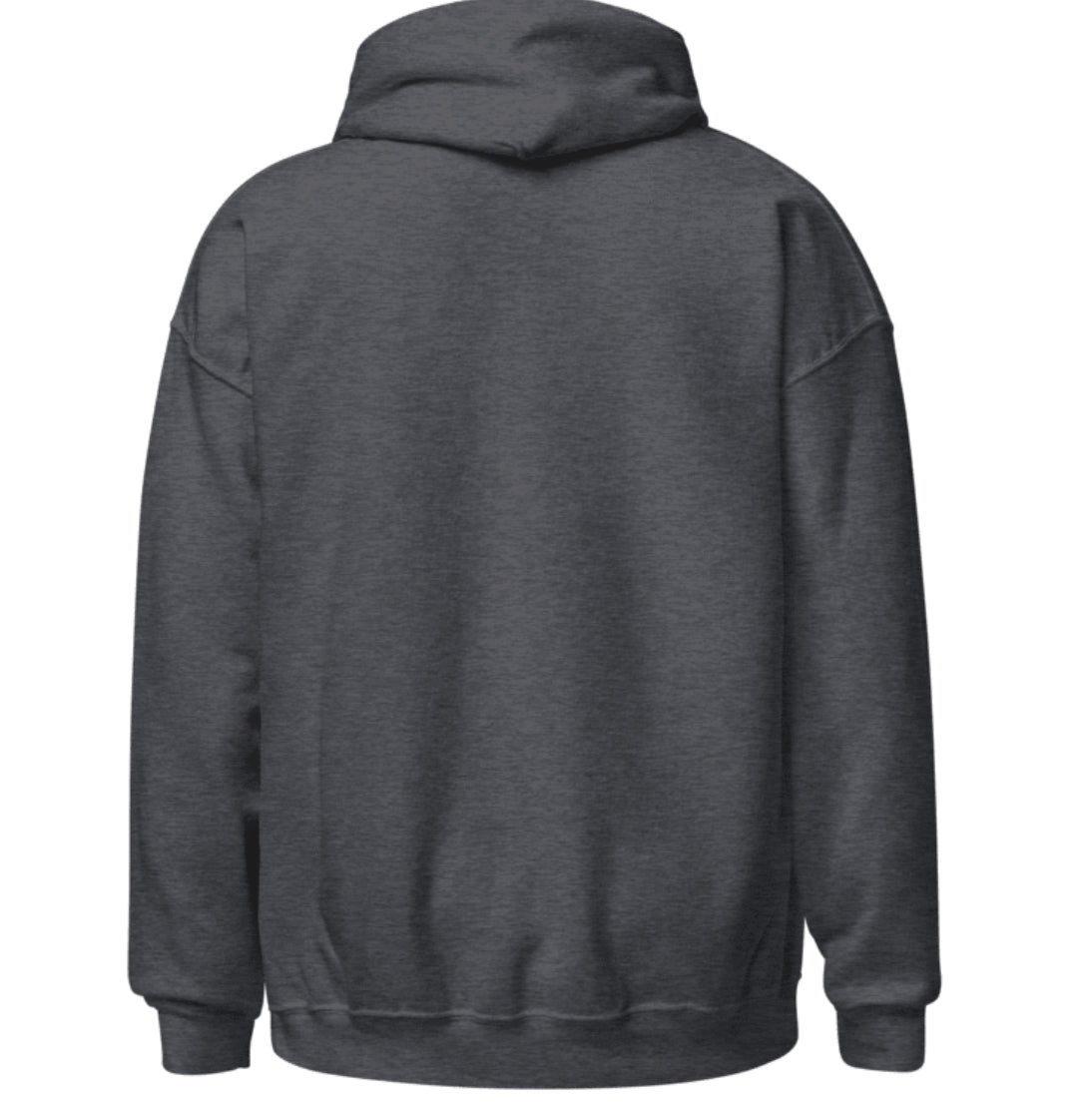 Jesus Dropped The Charges Hoodie